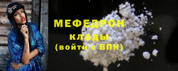молекула духа Вяземский