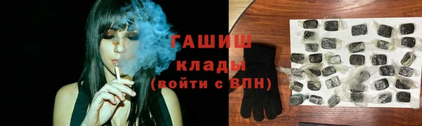 молекула духа Вяземский
