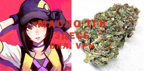 скорость Чекалин