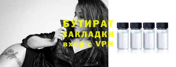 молекула духа Вяземский