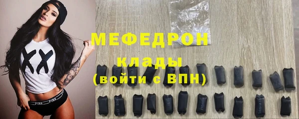 молекула духа Вяземский